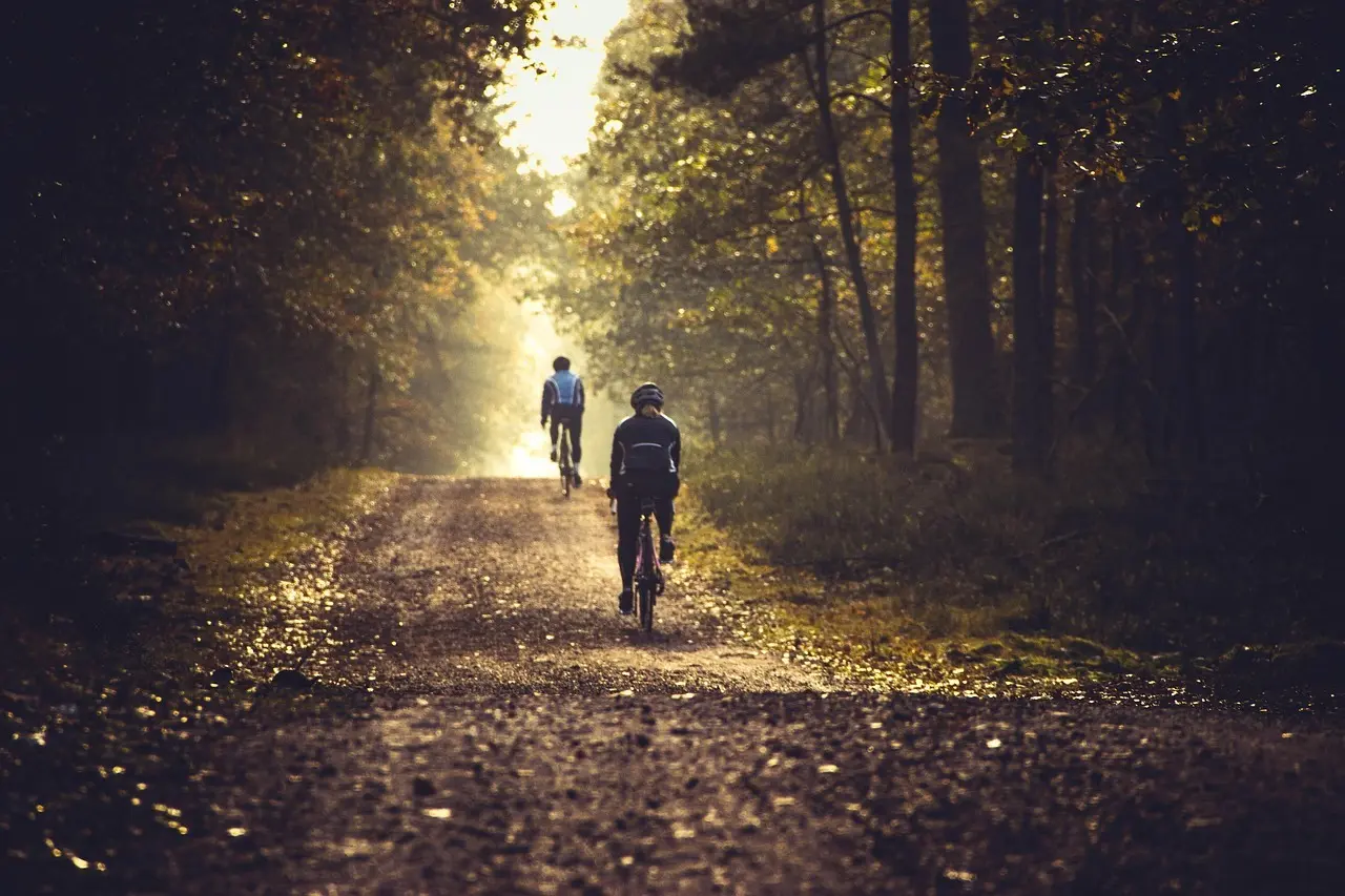 To cyklister på en skovsti i varmt sollys